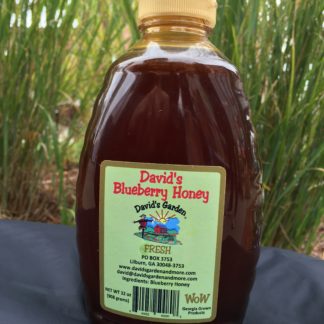 David's Blueberry Honey