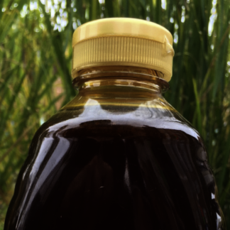 David's Gallberry Honey